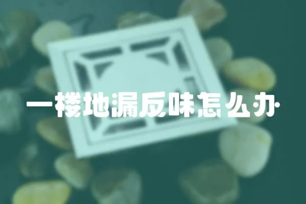 一樓地漏反味怎么辦