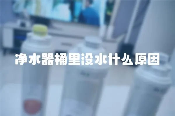凈水器桶里沒水什么原因