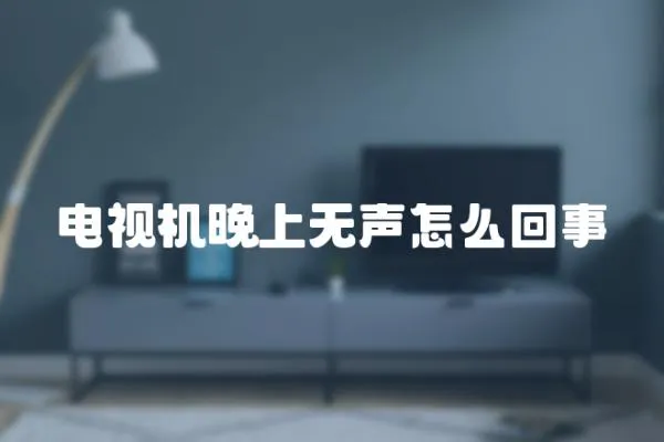 電視機晚上無聲怎么回事
