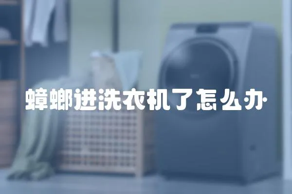 蟑螂進洗衣機了怎么辦