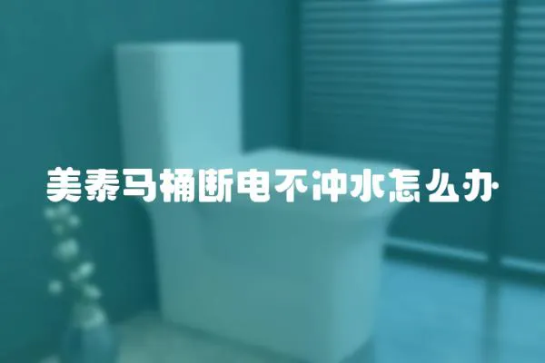 美泰馬桶斷電不沖水怎么辦