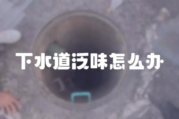 下水道泛味怎么辦