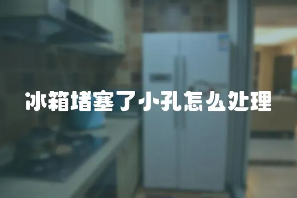 冰箱堵塞了小孔怎么處理