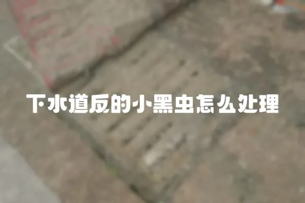 下水道反的小黑蟲怎么處理
