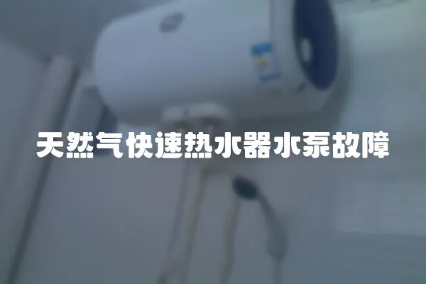 天然氣快速熱水器水泵故障