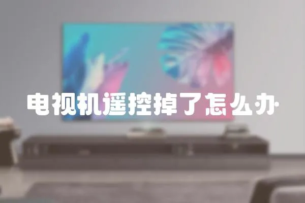 電視機遙控掉了怎么辦