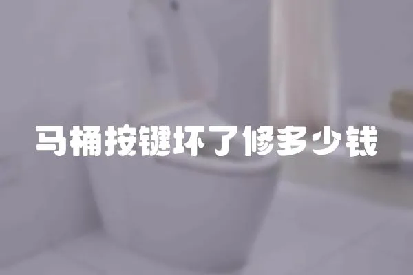 馬桶按鍵壞了修多少錢