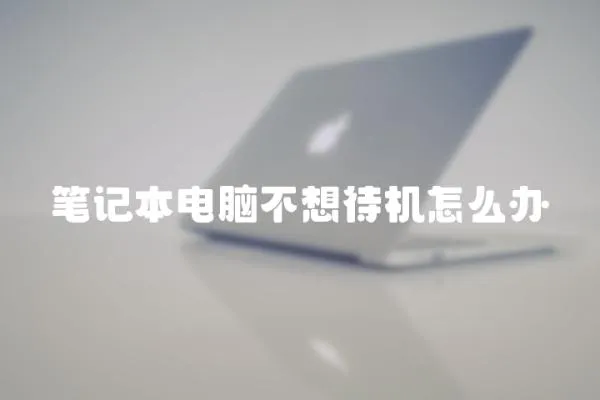 筆記本電腦不想待機怎么辦