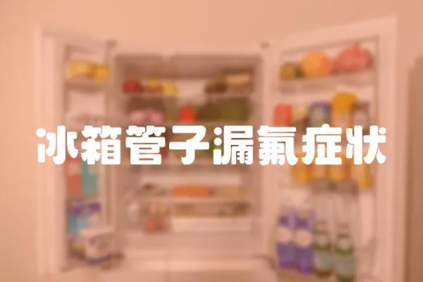 冰箱管子漏氟癥狀