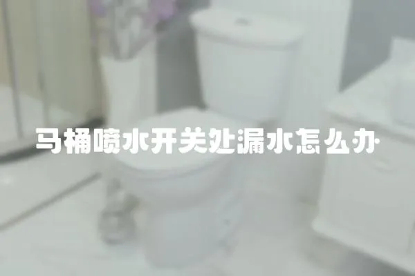 馬桶噴水開關(guān)處漏水怎么辦