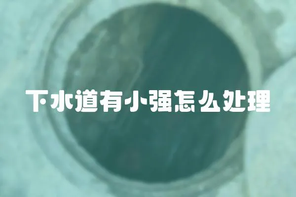 下水道有小強怎么處理