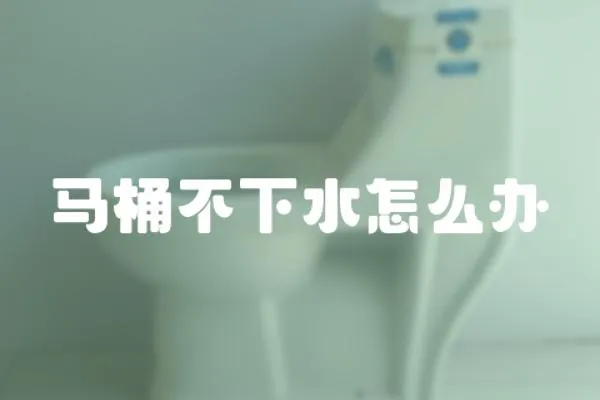 馬桶不下水怎么辦