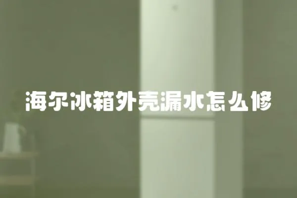 海爾冰箱外殼漏水怎么修