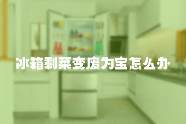 冰箱剩菜變廢為寶怎么辦