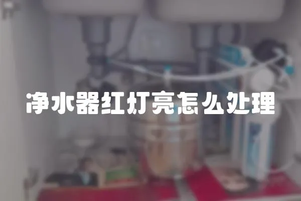 凈水器紅燈亮怎么處理