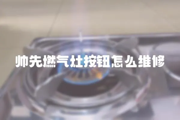 帥先燃?xì)庠畎粹o怎么維修