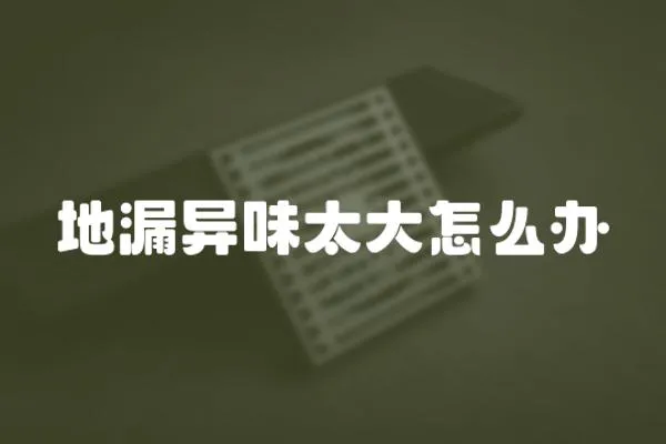 地漏異味太大怎么辦