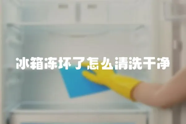 冰箱凍壞了怎么清洗干凈