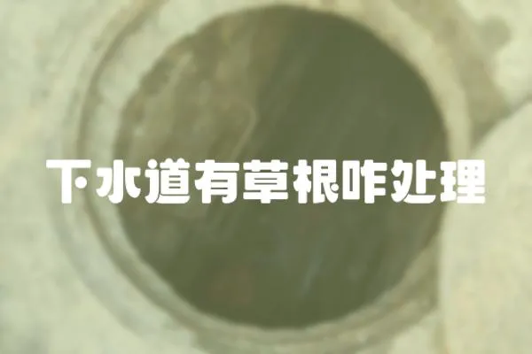 下水道有草根咋處理