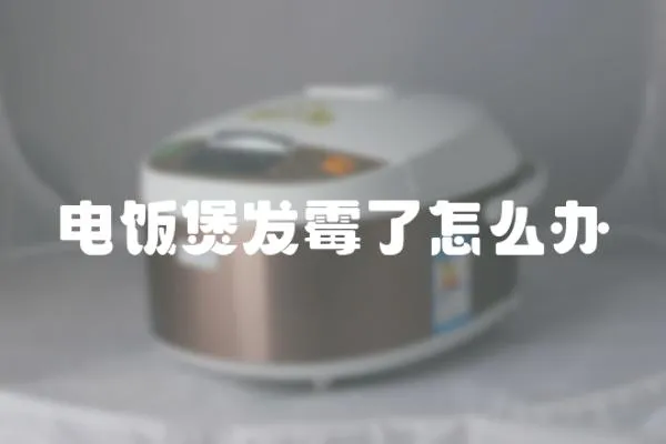 電飯煲發(fā)霉了怎么辦