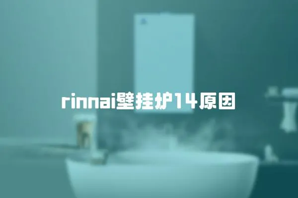 rinnai壁掛爐14原因