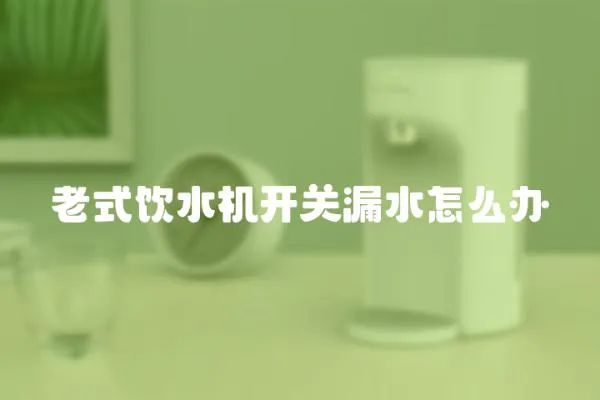 老式飲水機開關漏水怎么辦