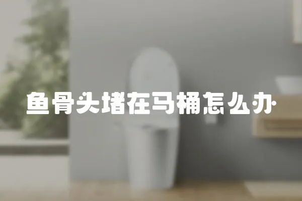 魚骨頭堵在馬桶怎么辦