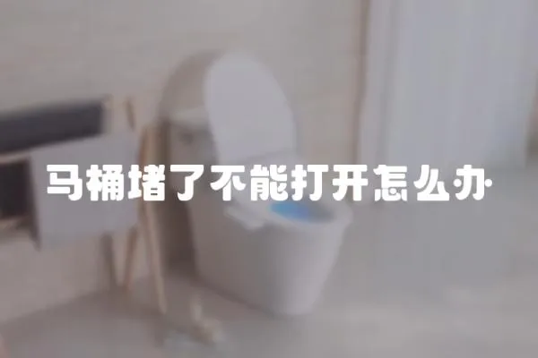 馬桶堵了不能打開怎么辦