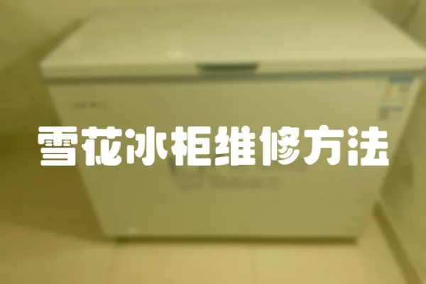雪花冰柜維修方法