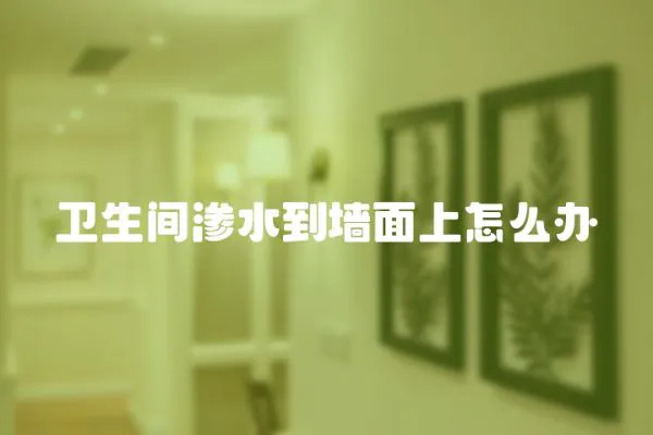 衛生間滲水到墻面上怎么辦