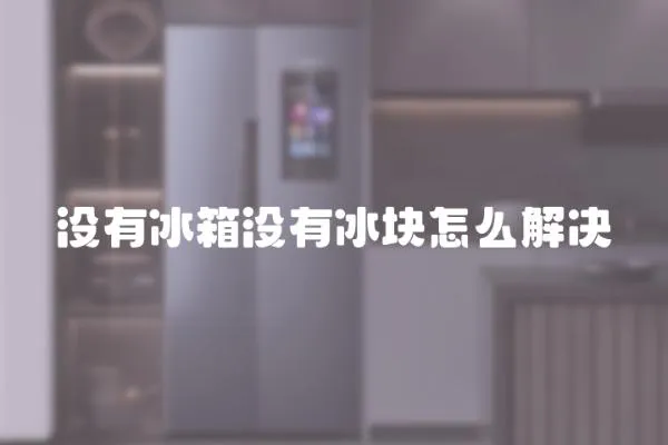 沒有冰箱沒有冰塊怎么解決