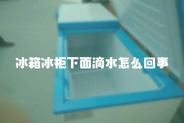 冰箱冰柜下面滴水怎么回事