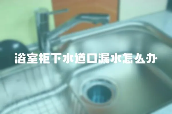 浴室柜下水道口漏水怎么辦
