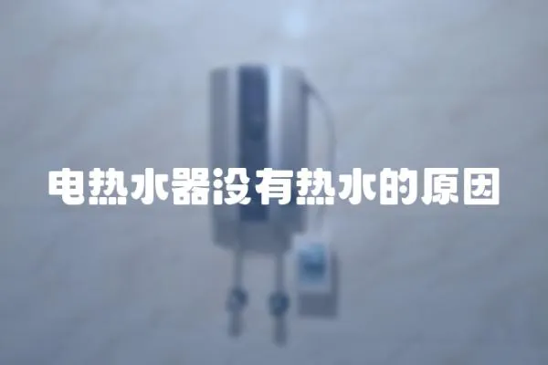 電熱水器沒有熱水的原因