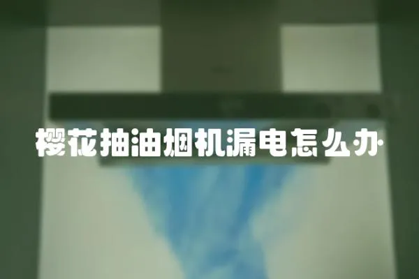 櫻花抽油煙機漏電怎么辦
