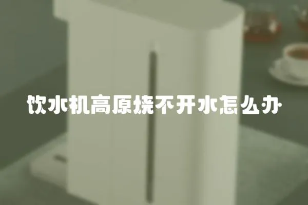 飲水機高原燒不開水怎么辦