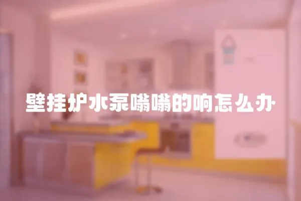 壁掛爐水泵嗡嗡的響怎么辦