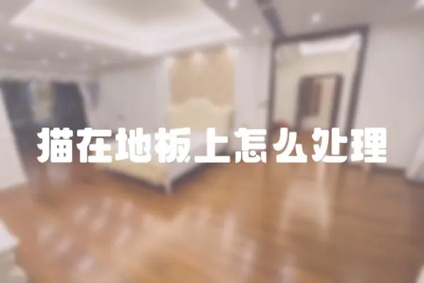 貓在地板上怎么處理