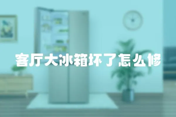 客廳大冰箱壞了怎么修