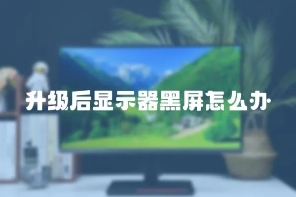 升級后顯示器黑屏怎么辦