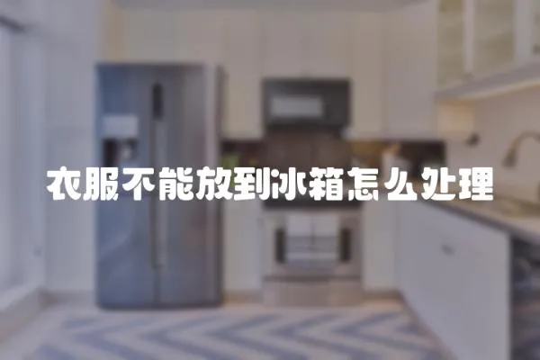 衣服不能放到冰箱怎么處理