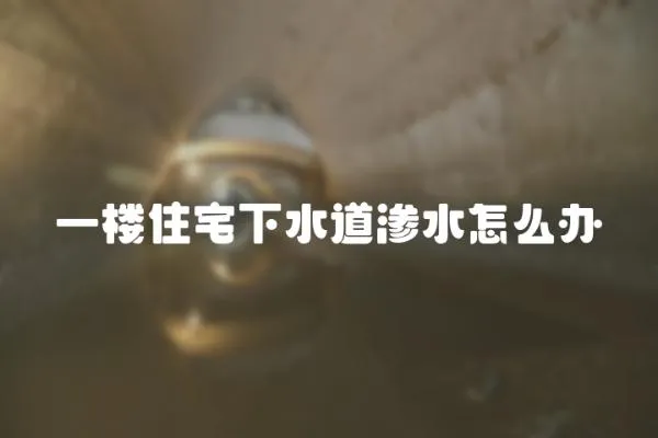 一樓住宅下水道滲水怎么辦