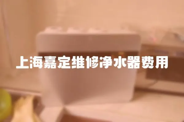 上海嘉定維修凈水器費用