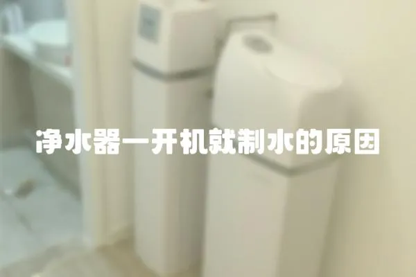 凈水器一開機就制水的原因