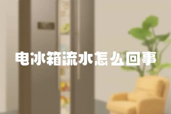 電冰箱流水怎么回事