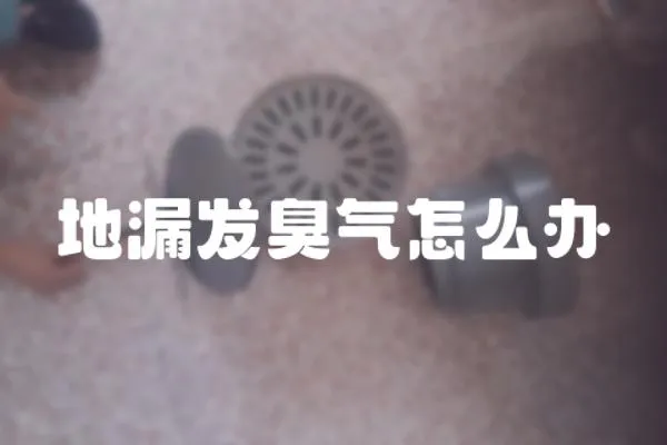地漏發臭氣怎么辦