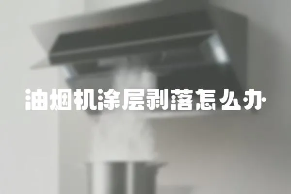 油煙機涂層剝落怎么辦