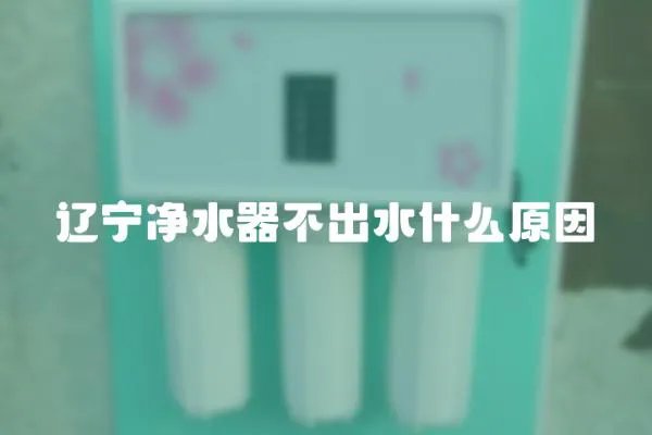 遼寧凈水器不出水什么原因