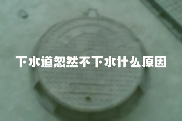 下水道忽然不下水什么原因
