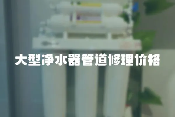大型凈水器管道修理價格